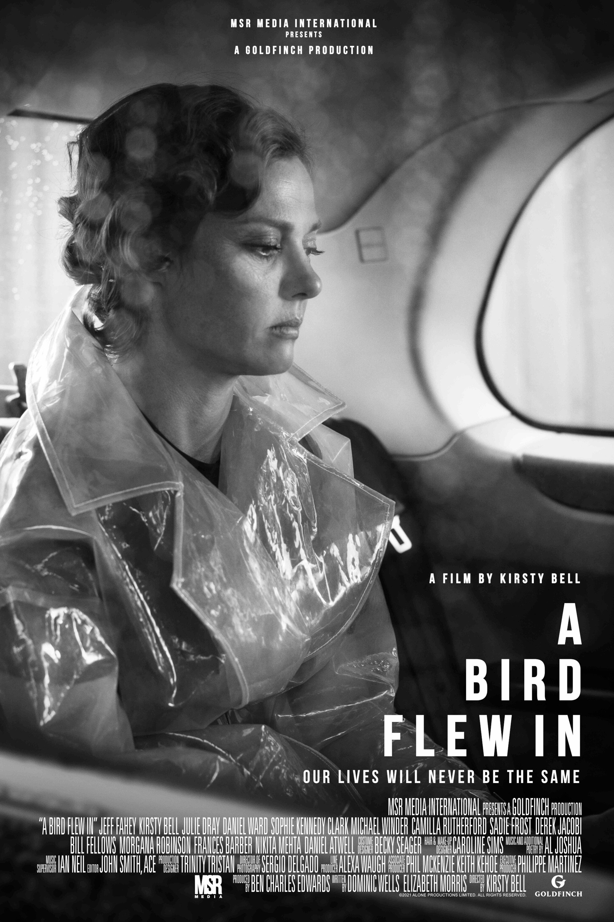 Постер A Bird Flew In